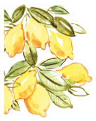 Italian Lemons Watercolor Sticker