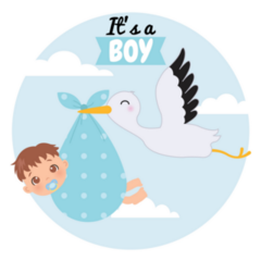 Its A Boy Stork Circle Sticker