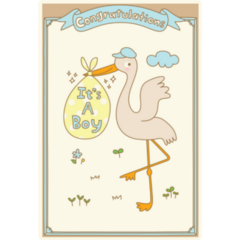 Its A Boy Stork Special Delivery Sticker