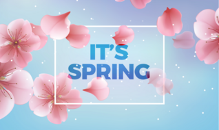 Its Spring Pink Flowers Sticker