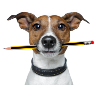 Jack Russel Pencil Sticker