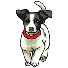 Jack Russel Run Sticker