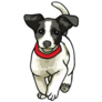Jack Russel Run Sticker