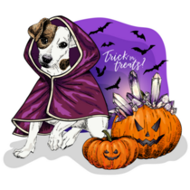 Jack Russel Spooky Sticker