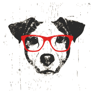 Jack Russel Terrier with Red Glasses Sticker