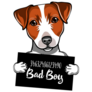 Jack Russell Bad Boy Sticker