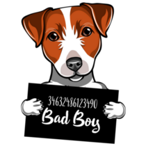 Jack Russell Bad Boy Sticker