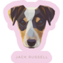 Jack Russell Cute Pink Sticker