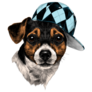 Jack Russell Hat Sticker