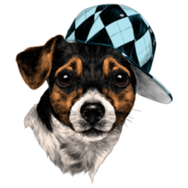 Jack Russell Hat Sticker
