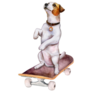 Jack Russell On Skateboard Sticker