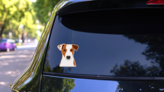 Jack Russell Orange Sticker on a Rear Car Window (New) example