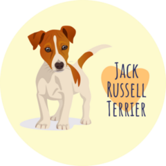 Jack Russell Poster Sticker