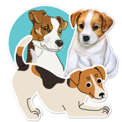 Jack Russell Terrier Thumbnail