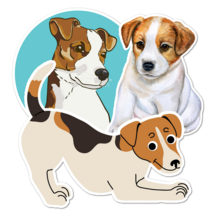 Jack Russell Terrier Thumbnail