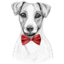 Jack Russell Tie Sticker