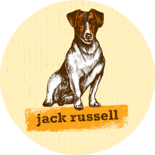 Jack Russell Yellow Sticker
