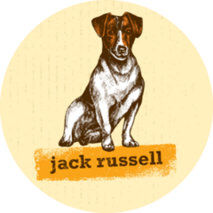 Jack Russell Yellow Sticker