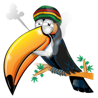 Jamaican Toucan Cartoon Sticker