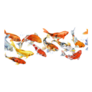 Japan Koi Carp Seamless Pattern Sticker