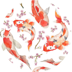 Japan Watercolor Oriental Pattern With Rainbow Carps Sticker