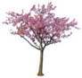 Japanese Cherry Blossom Tree Sticker