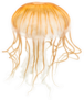 Japanese Sea Nettle Orange Jellyfish Sticker