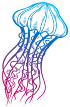 Jellyfish Doodle Illustration In Color Sticker