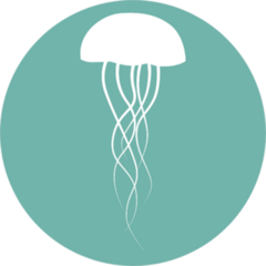 Jellyfish Icon In Blue Sticker
