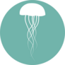 Jellyfish Icon In Blue Sticker
