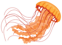 Jellyfish Orange Cartoon Sticker