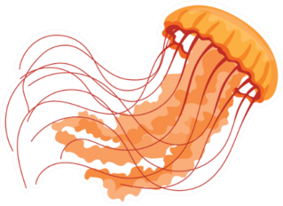 Jellyfish Orange Cartoon Sticker