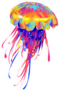 Jellyfish Rainbow Painted Sticker