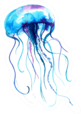 Jellyfish Watercolor Illustration In Blue Sticker