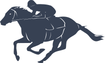 Jockey Horse Racing Sticker