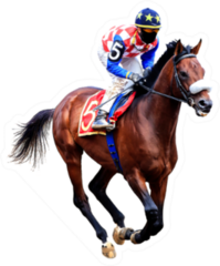 Jockey Riding A Horse Painting Sticker