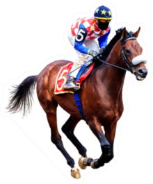 Jockey Riding A Horse Painting Sticker