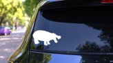 Joyful Hippopotamus Sticker on a Rear Car Window (New) example