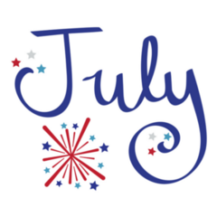 July Fireworks Independence Day Sticker