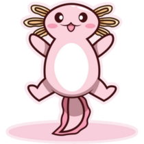Jumping Axolotl Sticker