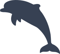 Jumping Dolphin Sticker