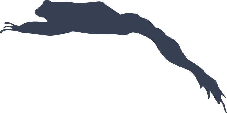 Jumping Frog Toad Shape Sticker