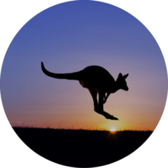 Jumping Kangaroo Silhouette At Sunset Sticker