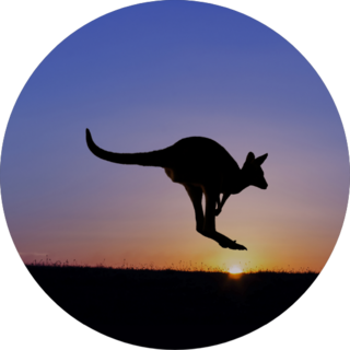 Jumping Kangaroo Silhouette At Sunset Sticker