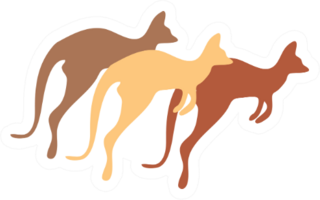 Jumping Kangaroos Nude Tones Illustration Sticker