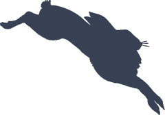 Jumping Rabbit Sticker