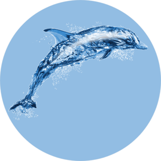 Jumping Water Dolphin Sticker