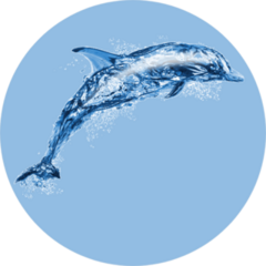 Jumping Water Dolphin Sticker
