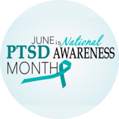 June Is Ptsd Awareness Month Sticker