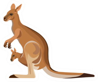 Kangaroo and Joey Illustration Sticker